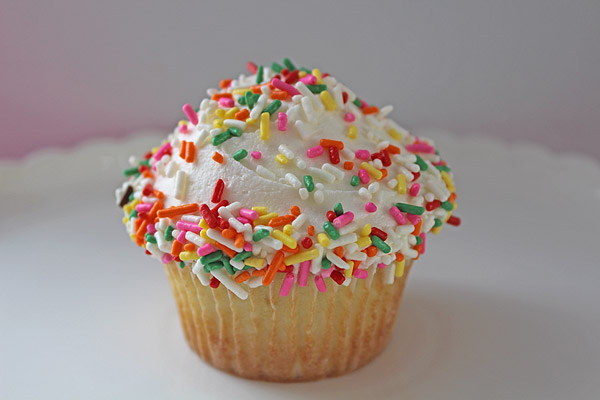 vanilla cupcake with sprinkles